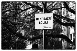 Lesná - Haškova