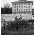 Pražákův palác