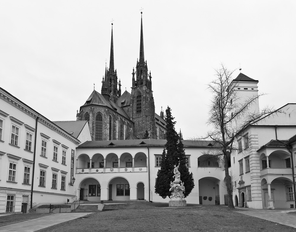 Biskupský dvůr