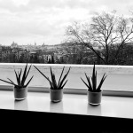 Vila Tugendhat