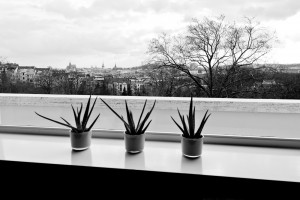 Vila Tugendhat
