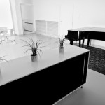 Vila Tugendhat