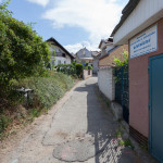 Divišova kolonie - Šanghaj