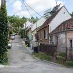 Divišova kolonie - Šanghaj